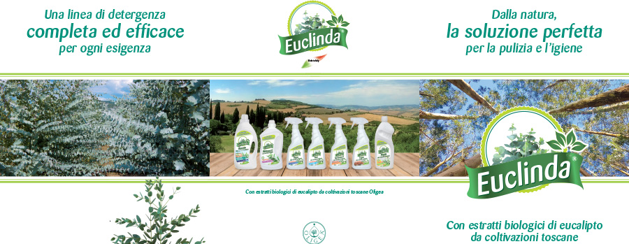 Linea Euclinda